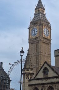 BANNER SOGGIORNO STUDIO